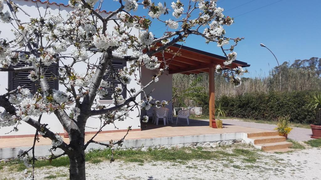 B&B Arcafelice Termoli Bagian luar foto