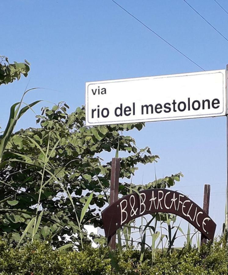 B&B Arcafelice Termoli Bagian luar foto